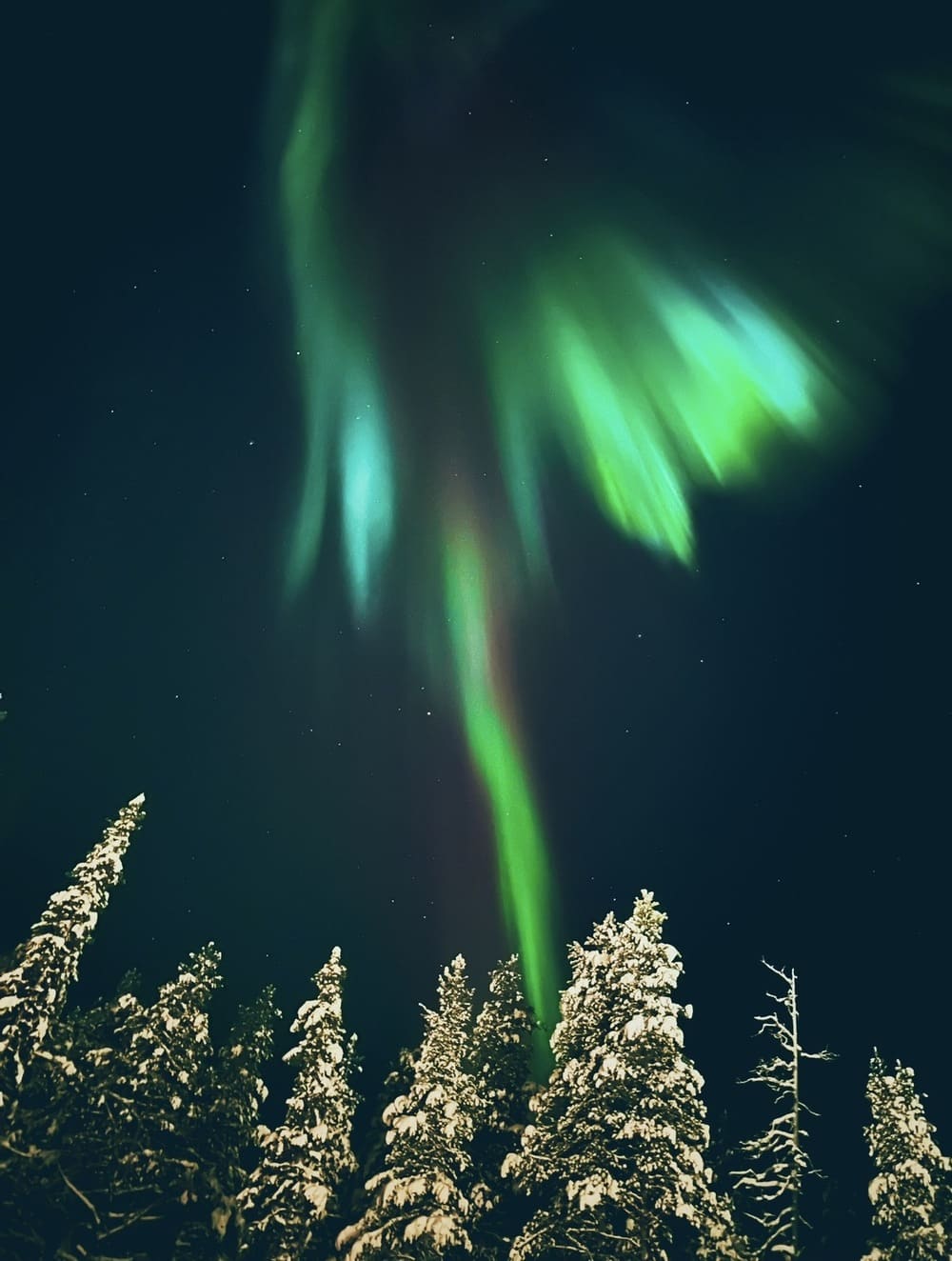 best-northern-lights-tour-rovaniemi best-northern-lights-tour-rovaniemi
