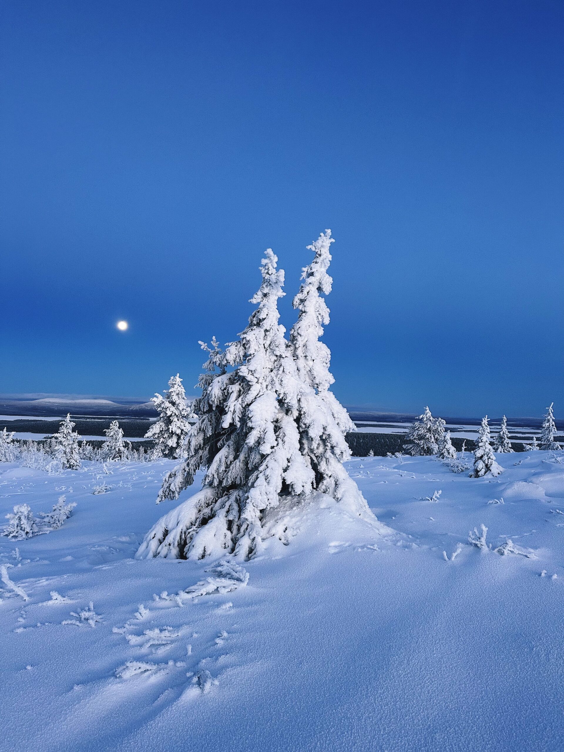day-trips-from-rovaniemi-without-car day-trips-from-rovaniemi-without-car
