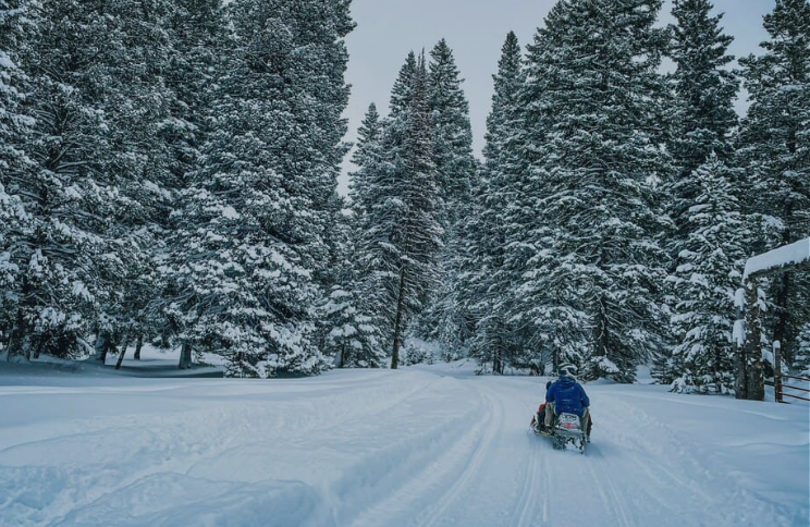 best-snowmobile-tour-rovaniemi best-snowmobile-tour-rovaniemi