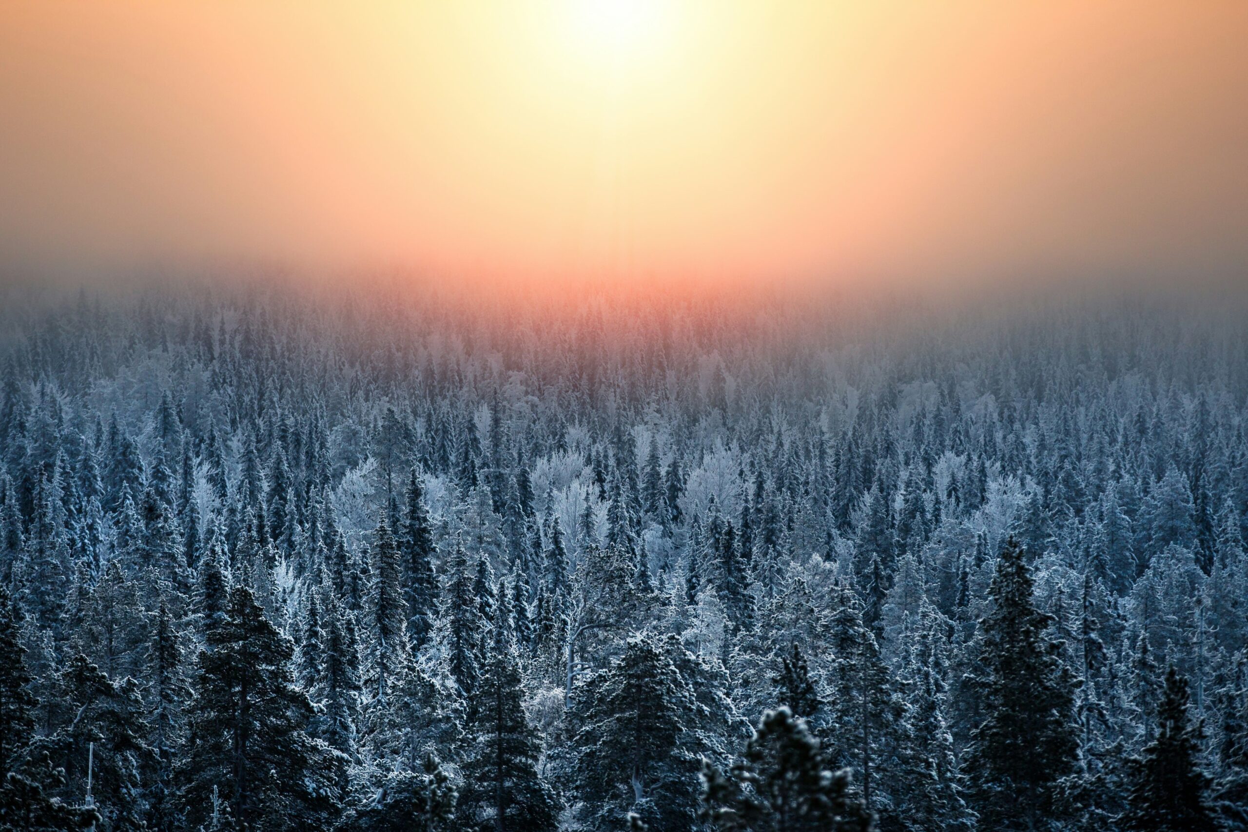 day-trips-from-rovaniemi-without-car day-trips-from-rovaniemi-without-car