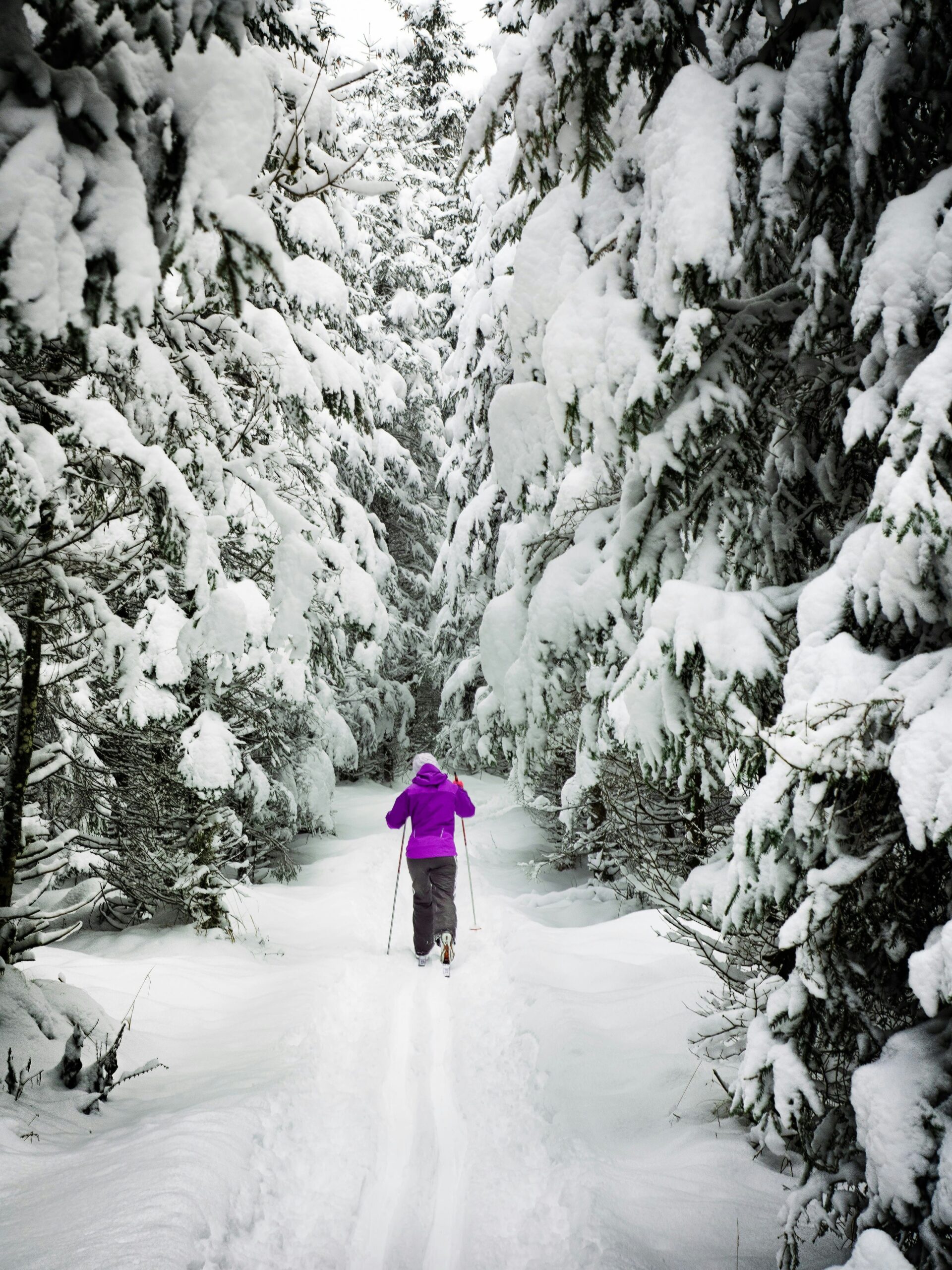 day-trips-from-rovaniemi-without-car day-trips-from-rovaniemi-without-car